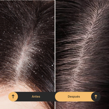 Pack - InfiniteNatural